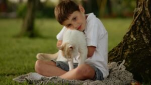 Avvelenamento del tuo gatto o cane