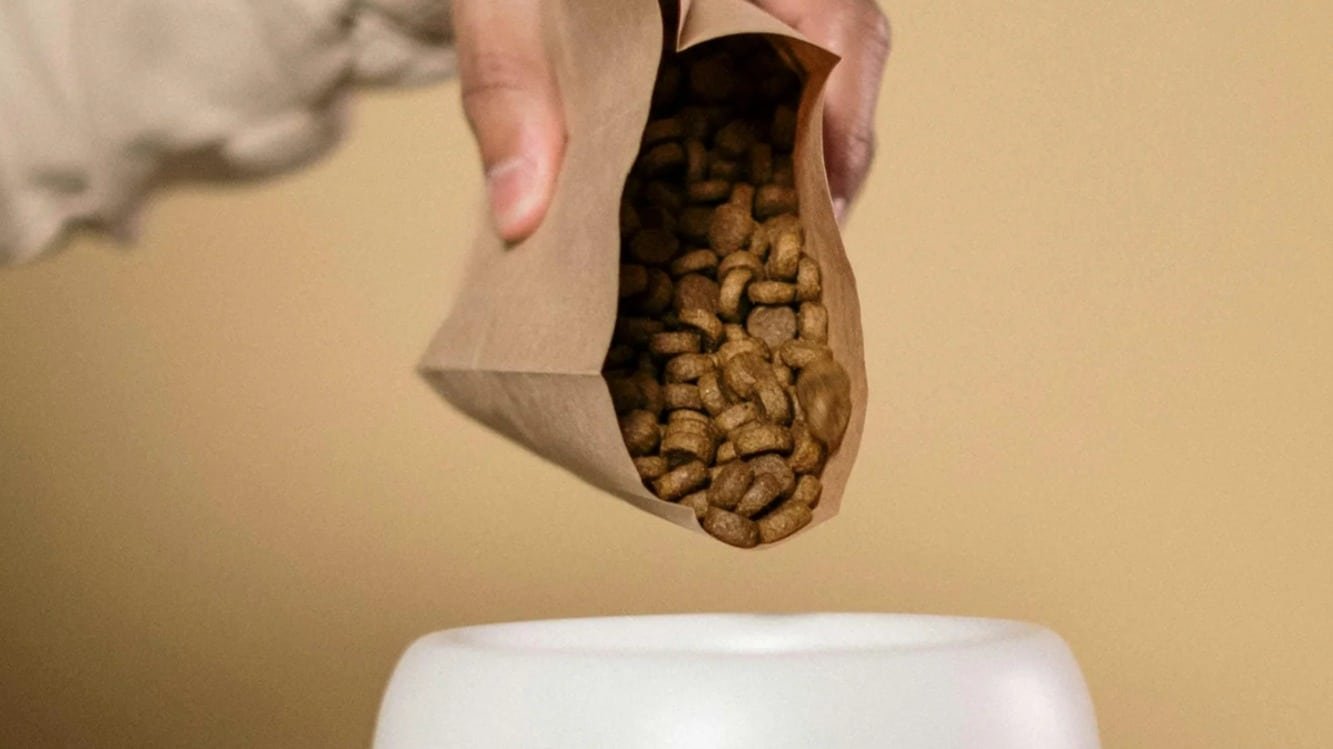 La rivoluzione silenziosa che parte dal piatto dei tuoi animali domestici